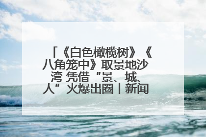 《白色橄榄树》《八角笼中》取景地沙湾 凭借“景、城、人”火爆出圈丨新闻发布最前线