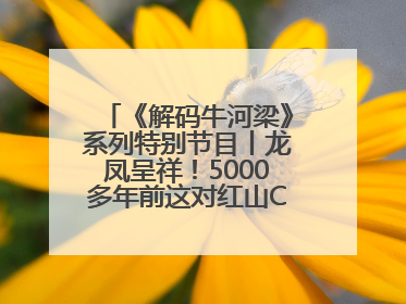 《解码牛河梁》系列特别节目丨龙凤呈祥！5000多年前这对红山CP竟这么好嗑