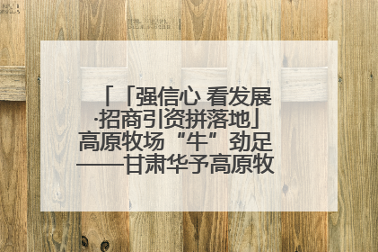 「强信心 看发展·招商引资拼落地」高原牧场“牛”劲足——甘肃华予高原牧场高标准奶牛肉牛养殖项目一线见闻