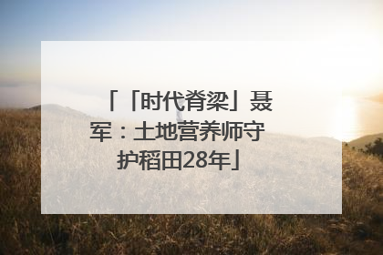 「时代脊梁」聂军：土地营养师守护稻田28年