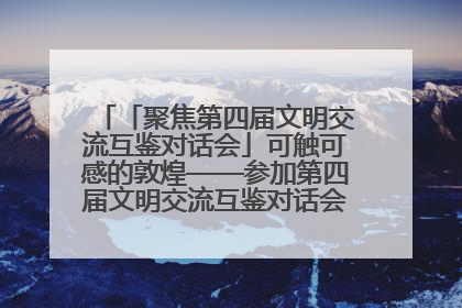 「聚焦第四届文明交流互鉴对话会」可触可感的敦煌——参加第四届文明交流互鉴对话会的外宾参观上元市集