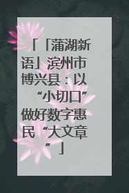 「蒲湖新语」滨州市博兴县：以“小切口”做好数字惠民“大文章”