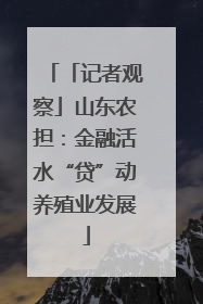 「记者观察」山东农担：金融活水“贷”动养殖业发展