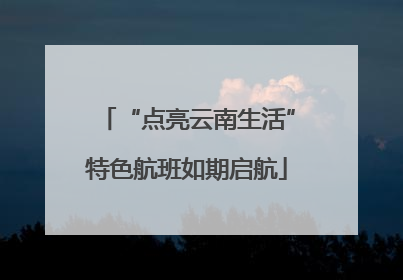 “点亮云南生活”特色航班如期启航