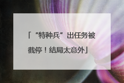 “特种兵”出任务被截停！结局太意外