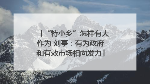 “特小乡”怎样有大作为 刘亭：有为政府和有效市场相向发力