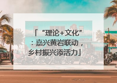 “理论+文化”：嘉兴黄岩联动，乡村振兴添活力