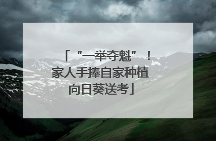 “一举夺魁”！家人手捧自家种植向日葵送考