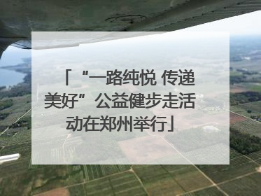 “一路纯悦 传递美好”公益健步走活动在郑州举行