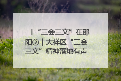 “三会三文”在邵阳②｜大祥区“三会三文”精神落地有声 以实干实绩助力区域高质量发展