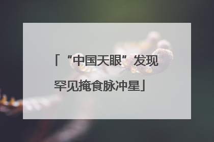 “中国天眼”发现罕见掩食脉冲星