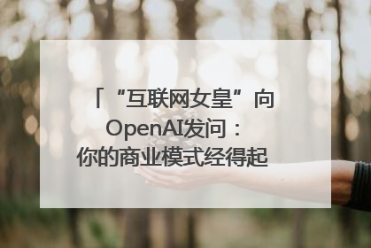 “互联网女皇”向OpenAI发问：你的商业模式经得起价格战考验么？