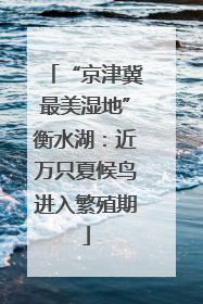 “京津冀最美湿地”衡水湖：近万只夏候鸟进入繁殖期