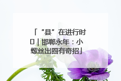 “县”在进行时⑬｜邯郸永年：小螺丝出圈有奇招