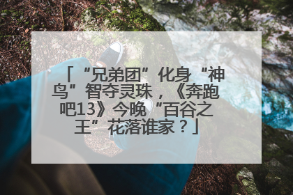 “兄弟团”化身“神鸟”智夺灵珠，《奔跑吧13》今晚“百谷之王”花落谁家？