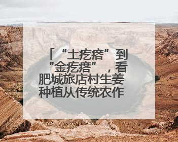 “土疙瘩”到“金疙瘩”，看肥城旅店村生姜种植从传统农作到“云上”热销的蝶变之路
