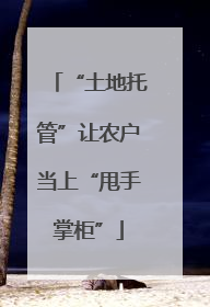 “土地托管”让农户当上“甩手掌柜”