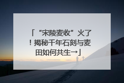 “宋陵麦收”火了！揭秘千年石刻与麦田如何共生→
