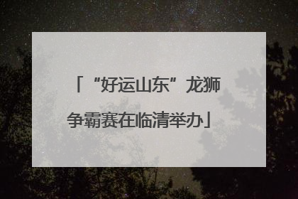 “好运山东”龙狮争霸赛在临清举办