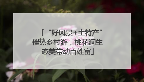 “好风景+土特产”催热乡村游，桃花涧生态美带动百姓富