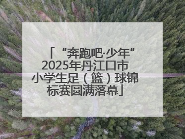 “奔跑吧·少年”2025年丹江口市小学生足（篮）球锦标赛圆满落幕