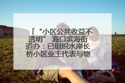 “小区公共收益不透明” 海口滨海街道办：已组织水岸长桥小区业主代表与物业进行座谈