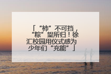 “柿”不可挡，“粽”望所归！徐汇校园用仪式感为少年们“充能”
