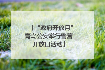 “政府开放月”青岛公安举行警营开放日活动