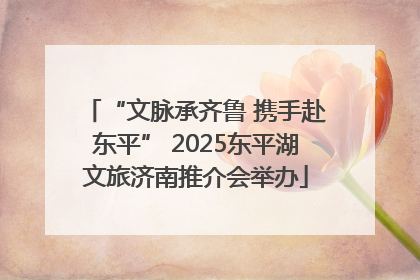 “文脉承齐鲁 携手赴东平” 2025东平湖文旅济南推介会举办