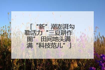 “新”潮澎湃勾勒活力“三夏耕作图” 田间地头满满“科技范儿”