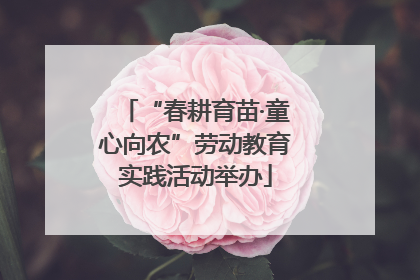 “春耕育苗·童心向农”劳动教育实践活动举办