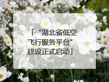 “湖北省低空飞行服务平台”建设正式启动