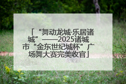 “舞动龙城·乐居诸城”——2025诸城市“金东世纪城杯”广场舞大赛完美收官