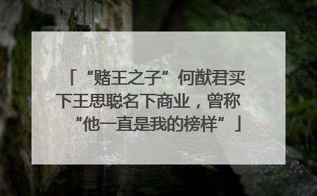 “赌王之子”何猷君买下王思聪名下商业，曾称“他一直是我的榜样”