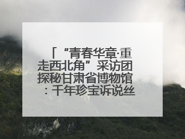 “青春华章·重走西北角”采访团探秘甘肃省博物馆：千年珍宝诉说丝路辉煌