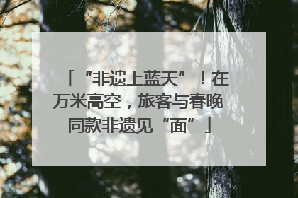 “非遗上蓝天”！在万米高空，旅客与春晚同款非遗见“面”
