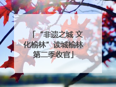 “非遗之城 文化榆林”读城榆林第二季收官
