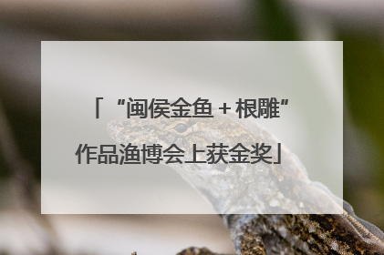 “闽侯金鱼＋根雕”作品渔博会上获金奖