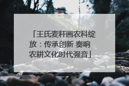 王氏麦秆画农科绽放：传承创新 奏响农耕文化时代强音