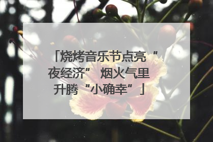 烧烤音乐节点亮“夜经济” 烟火气里升腾“小确幸”