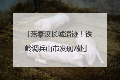 燕秦汉长城遗迹！铁岭调兵山市发现7处