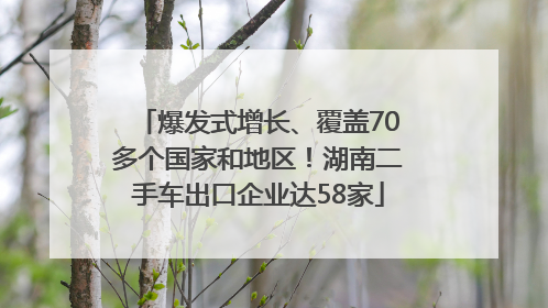 爆发式增长、覆盖70多个国家和地区！湖南二手车出口企业达58家