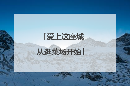 爱上这座城 从逛菜场开始