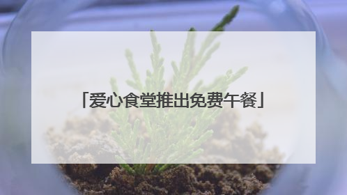 爱心食堂推出免费午餐