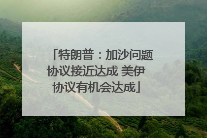 特朗普：加沙问题协议接近达成 美伊协议有机会达成