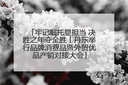 牢记嘱托显担当 决胜之年夺全胜丨丹东举行品牌消费品暨外贸优品产销对接大会