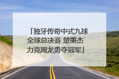 独牙传奇中式九球全球总决赛 楚秉杰力克周龙勇夺冠军