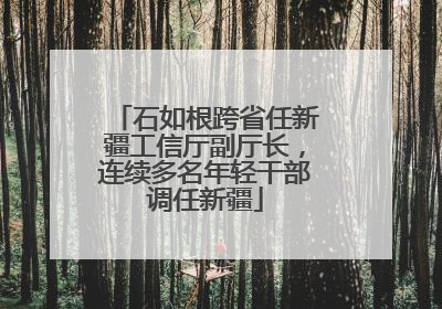 石如根跨省任新疆工信厅副厅长，连续多名年轻干部调任新疆