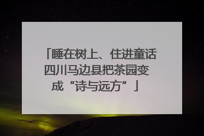 睡在树上、住进童话 四川马边县把茶园变成“诗与远方”