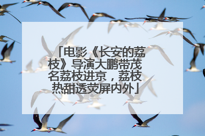 电影《长安的荔枝》导演大鹏带茂名荔枝进京，荔枝热甜透荧屏内外